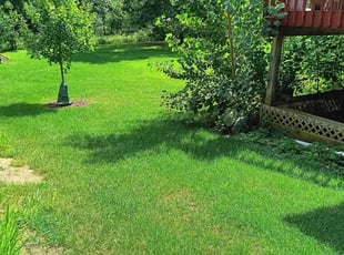 Debdatta M.'s lawn care service result
