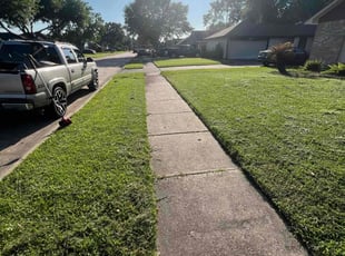 Ingle E.'s turf care service result