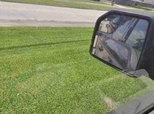 Lou A.'s lawn service service result