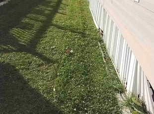 Jim M.'s lawn care service result