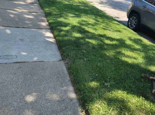 Josiah M.'s lawn care service result