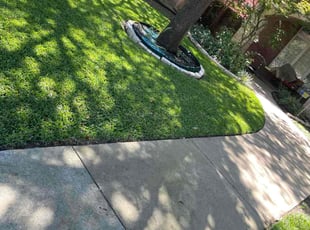 Linda D.'s lawn service service result