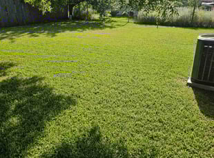 Dominique C.'s grass cutting service result