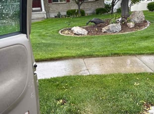 Bobbie B.'s grass cutting service result