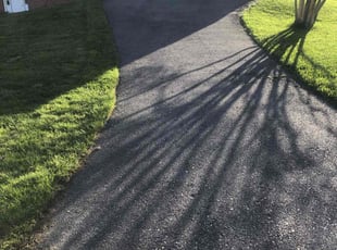 Greg S.'s turf care service result