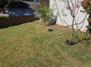 Kathryn M.'s lawn maintenance service result