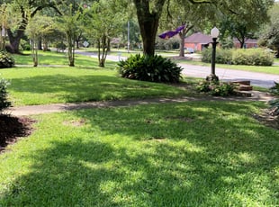 Anthony W.'s lawn care service result