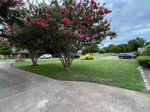 Kelly S.'s lawn care service result