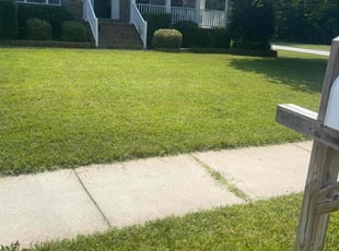Chelsia B.'s lawn care services service result