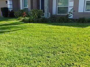 Laura D.'s grass maintenance service result