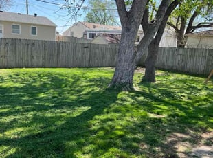 Constance M.'s lawn care service result