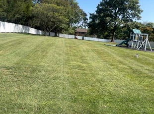 Rose B.'s turf maintenance service result