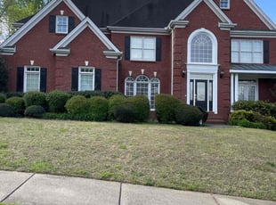 Carol T.'s grass cutting service result