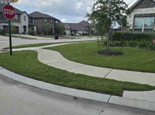 Christianna C.'s grass maintenance service result
