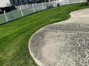 Yoni S.'s lawn care service result