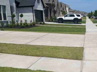 Chance M.'s turf care service result