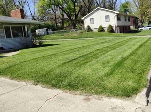 Chasity J.'s grass cutting service result