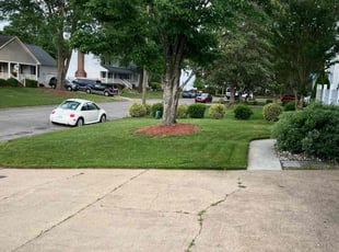 Shruthi S.'s lawn maintenance service result