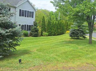 Audrey r.'s turf care service result