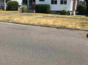 Estela M.'s Bush Trimming service result