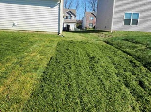 Erik T.'s grass maintenance service result