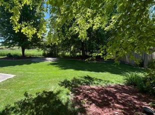 Burt S.'s turf maintenance service result