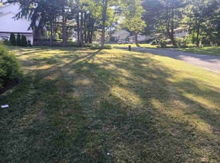 Miramique B.'s lawn maintenance service result