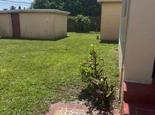 Vinc G.'s turf maintenance service result