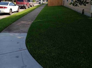Darrel D.'s grass cutting service result
