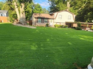Evan P.'s grass cutting service result