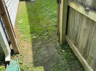 Patrick K.'s turf care service result