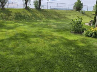 Chris N.'s lawn service service result
