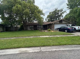 Paul M.'s grass maintenance service result