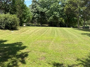 Angela M.'s grass cutting service result