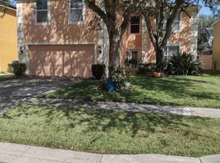 Fred E.'s grass maintenance service result