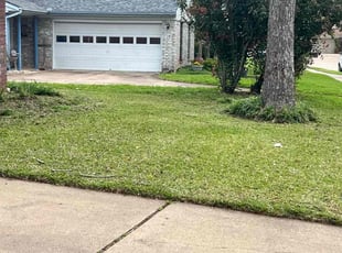 Nelissa B.'s turf care service result