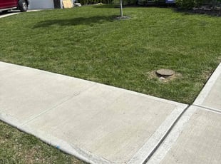 Will D.'s lawn care service result