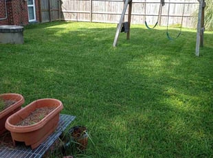 Tia W.'s turf care service result