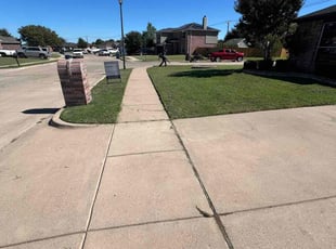 Ifeanyi A.'s Long Grass Cleanup service result