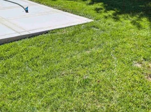 Kokeeta W.'s lawn maintenance service result