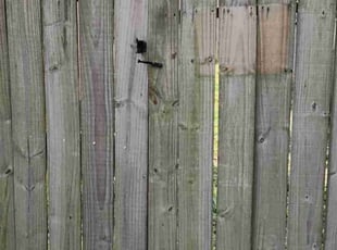 Latoya J.'s grass maintenance service result