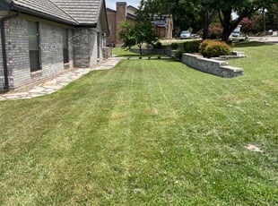 Maurice C.'s lawn care services service result