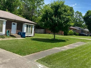 Harvey C.'s lawn maintenance service result