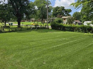 Bethany S.'s lawn maintenance service result