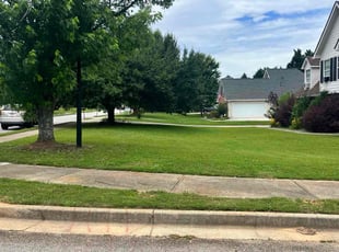 Chris K.'s lawn care service result