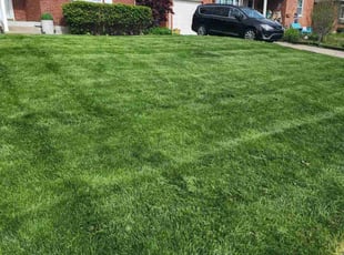 Alisha M.'s turf maintenance service result