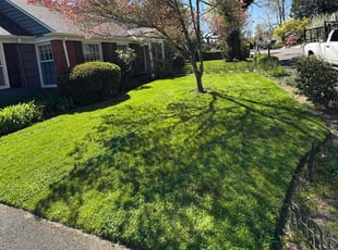Stacey T.'s lawn care service result
