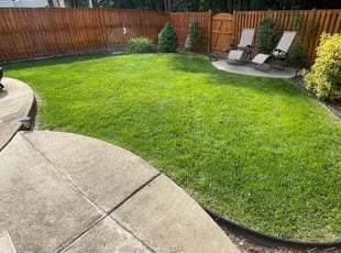 Mary S.'s grass maintenance service result