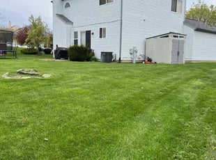 George H.'s lawn service service result