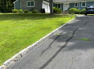 Audra W.'s lawn care services service result